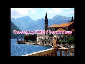 Как иммигрировать в черногорию из россии на пмж