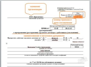 Можно ли приказ об увольнении издать раньше даты увольнения