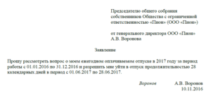 На имя кого пишет заявление на отпуск генеральный директор