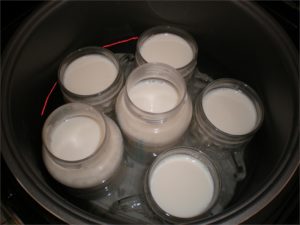 Сколько хранится самодельный йогурт