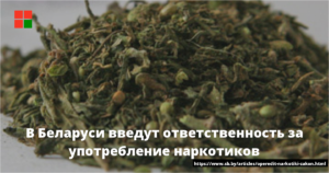 Срок за употребление травы в россии