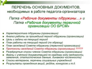 Документация педагога организатора в школе по фгос