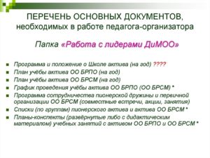 Документация педагога организатора в школе по фгос