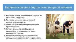 Должностная инструкция ветеринарного санитара ветеринарной станции