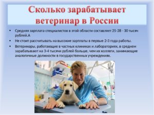 Сколько зарабатывает ветеринар в россии