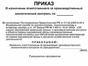 Приказ о назначении ответственных руководиетлей за организацию производственного контроля