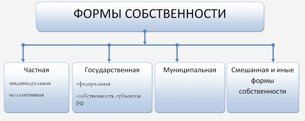 Формы собственности ооо какие бывают